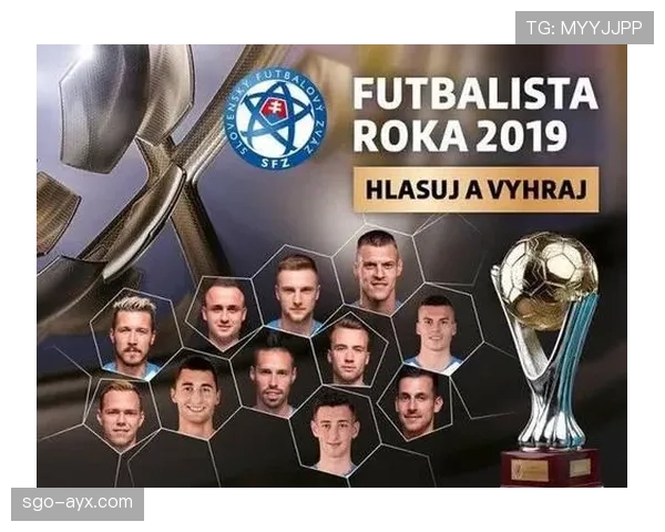 斯洛伐克洛博特卡在经济转型中面临的新机遇与挑战分析