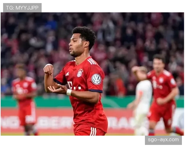 格纳布里职业生涯解析